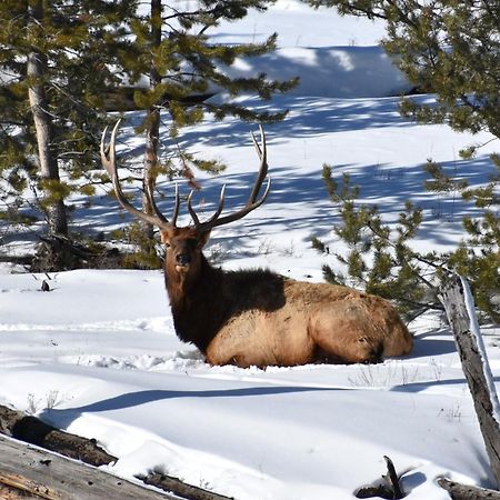 Aspen Springs Angel Fire Aparthotel Eksteriør bilde
