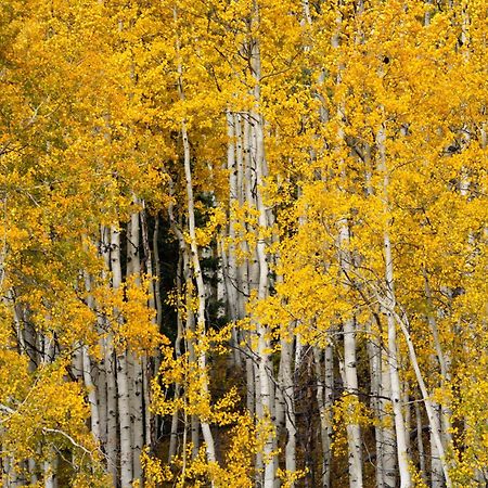 Aspen Springs Angel Fire Aparthotel Eksteriør bilde